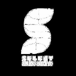Select Studio Criativo